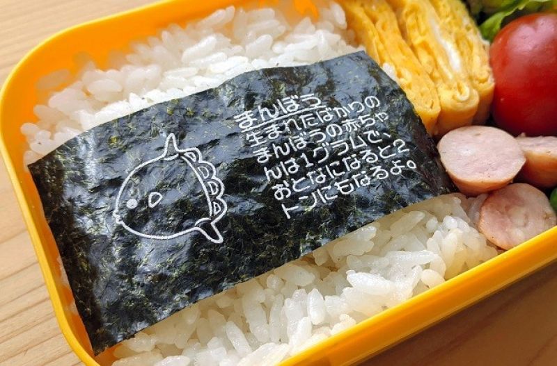 osakana zukan nori nhật bản osakana zukan nori nhật bản
